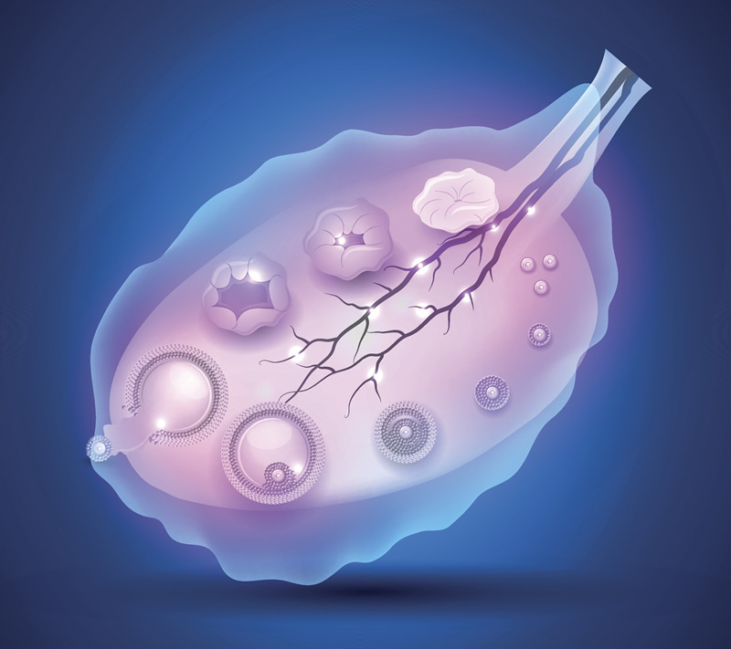 即时太原三代试管婴儿助孕在线咨询,探讨较大的助孕公司与服务机构